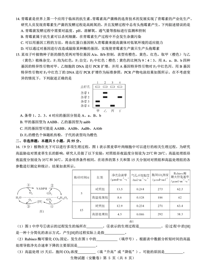 安徽卷名校教研联盟2024届高三3月联考生物试题_2024年3月_013月合集_2024届名校教研联盟高三3月考试（安徽版）_2024届名校教研联盟高三3月考试（安徽版）生物