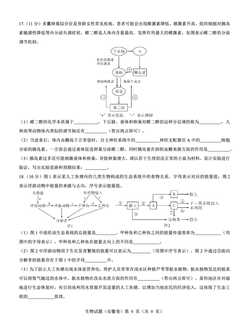 安徽卷名校教研联盟2024届高三3月联考生物试题_2024年3月_013月合集_2024届名校教研联盟高三3月考试（安徽版）_2024届名校教研联盟高三3月考试（安徽版）生物