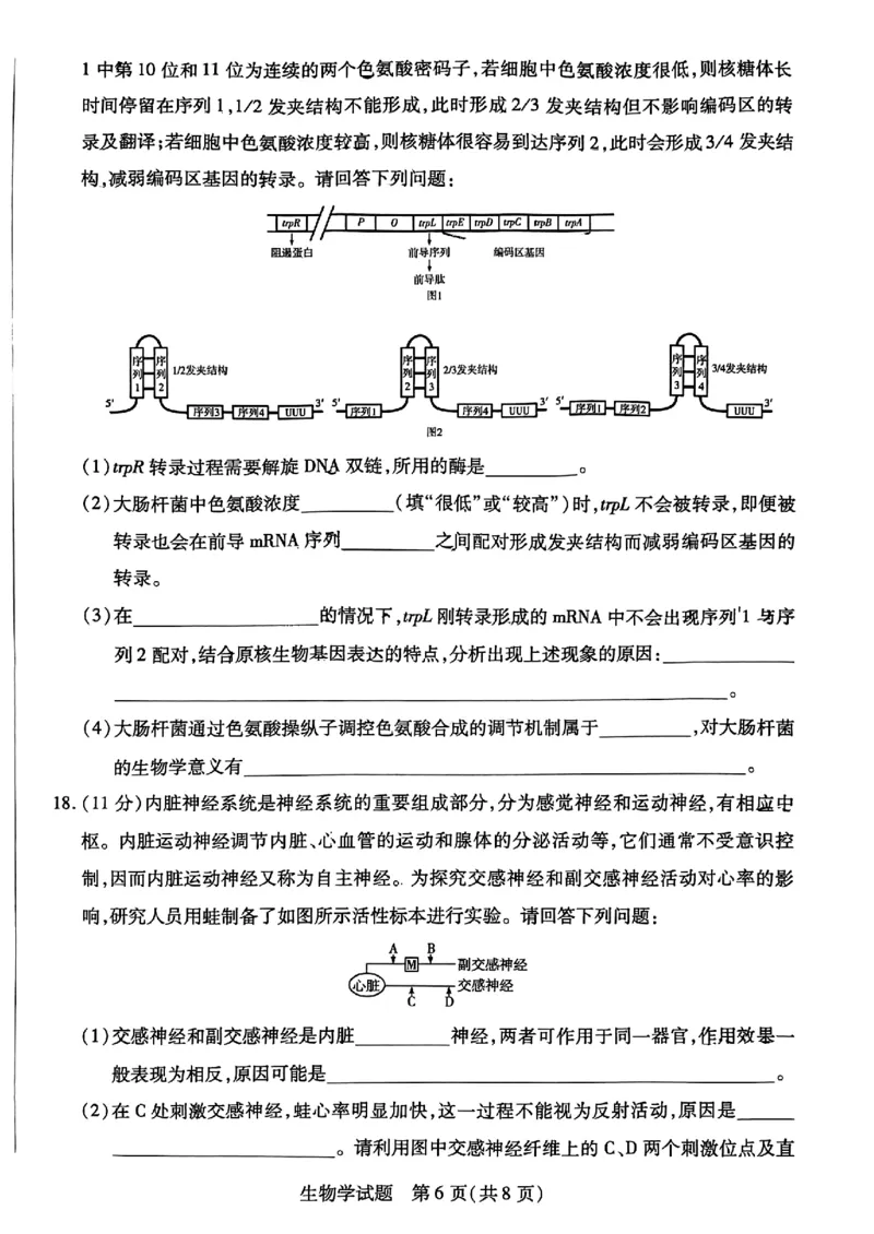 安徽省卓越县中联盟2024年高三三模联考生物试题_2024年5月_01按日期_6号_2024届安徽省皖豫名校＆卓越县中联盟高三5月联考