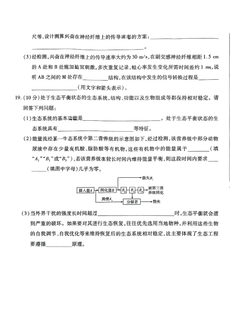 安徽省卓越县中联盟2024年高三三模联考生物试题_2024年5月_01按日期_6号_2024届安徽省皖豫名校＆卓越县中联盟高三5月联考