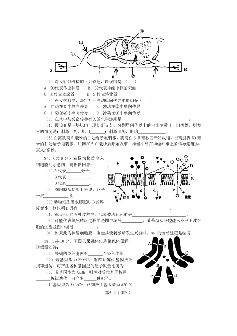 2002年上海高考生物真题及答案_生物高考真题试卷_旧1990-2007&middot;高考生物真题_1990-2007&middot;高考生物真题&middot;PDF_上海