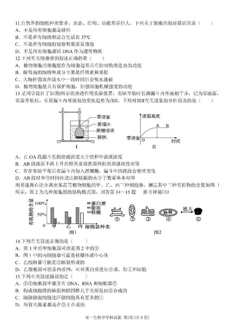 生物卷-嘉兴八校高一期中_2024-2025高一（7-7月题库）_2024年11月试卷_1117浙江省嘉兴八校2024-2025学年高一期中