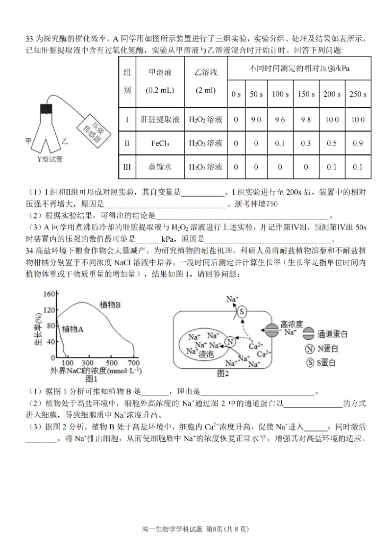 生物卷-嘉兴八校高一期中_2024-2025高一（7-7月题库）_2024年11月试卷_1117浙江省嘉兴八校2024-2025学年高一期中