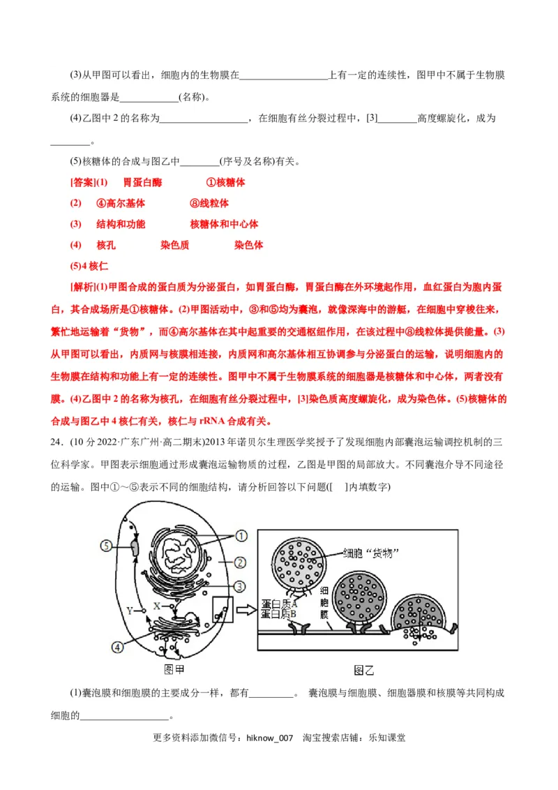 第3章细胞的基本结构（B卷&middot;能力提升练）（解析版）_E015高中全科试卷_生物试题_必修1_1.单元测试_1.单元测试AB卷（第一套）