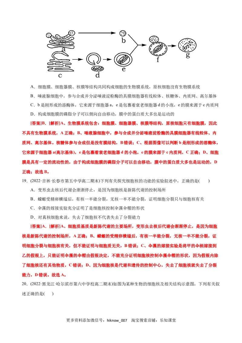 第3章细胞的基本结构（B卷&middot;能力提升练）（解析版）_E015高中全科试卷_生物试题_必修1_1.单元测试_1.单元测试AB卷（第一套）