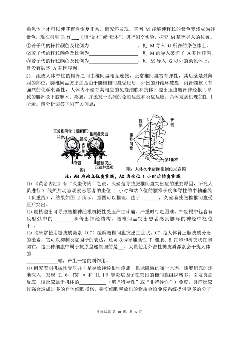 山东省实验中学2024届高三2月调研考试（生物）_2024年3月_013月合集_2024届山东省实验中学高三下学期2月调研考试_山东省实验中学2024届高三下学期2月调研考试生物
