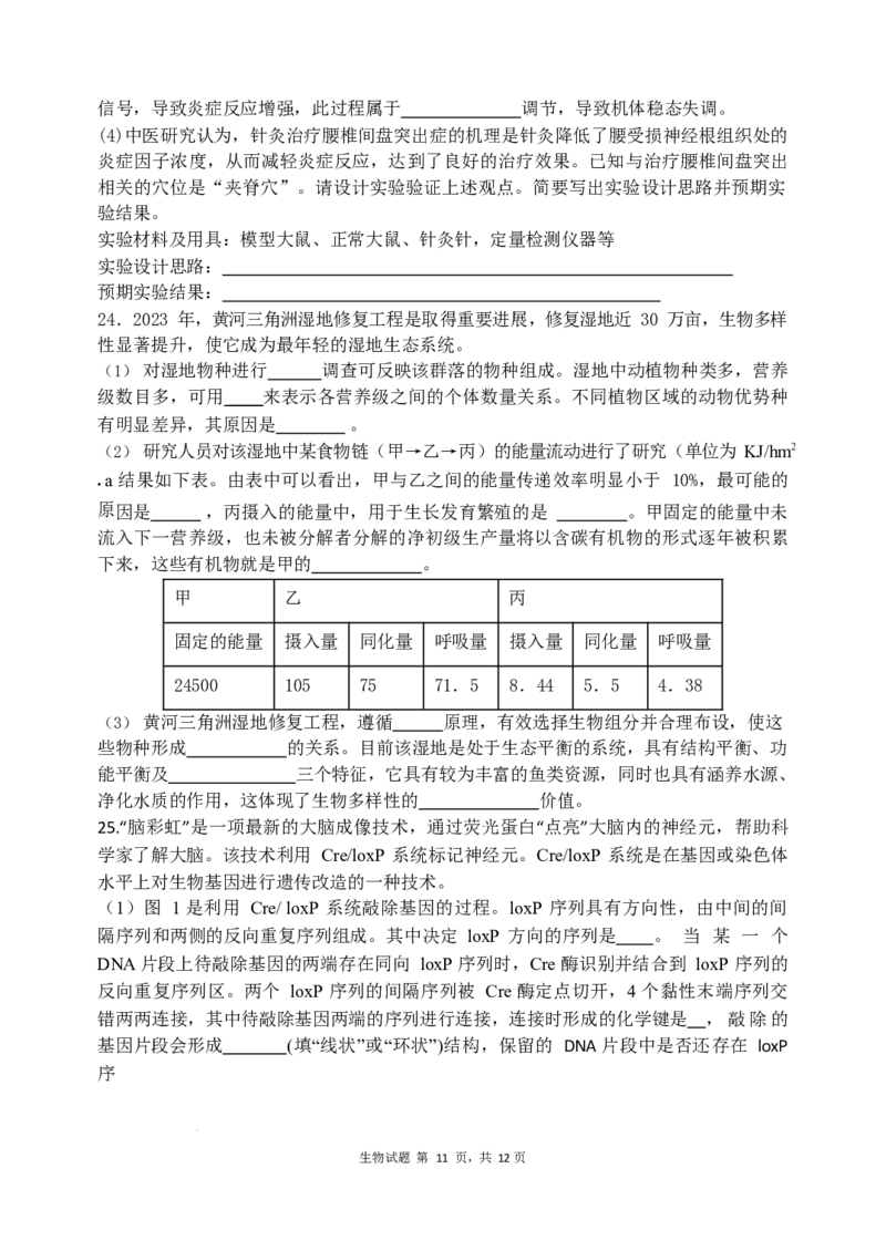 山东省实验中学2024届高三2月调研考试（生物）_2024年3月_013月合集_2024届山东省实验中学高三下学期2月调研考试_山东省实验中学2024届高三下学期2月调研考试生物
