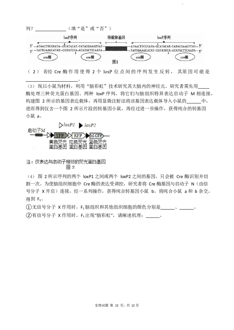 山东省实验中学2024届高三2月调研考试（生物）_2024年3月_013月合集_2024届山东省实验中学高三下学期2月调研考试_山东省实验中学2024届高三下学期2月调研考试生物
