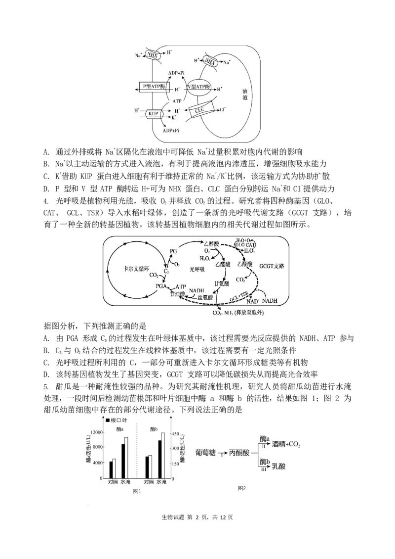 山东省实验中学2024届高三2月调研考试（生物）_2024年3月_013月合集_2024届山东省实验中学高三下学期2月调研考试_山东省实验中学2024届高三下学期2月调研考试生物
