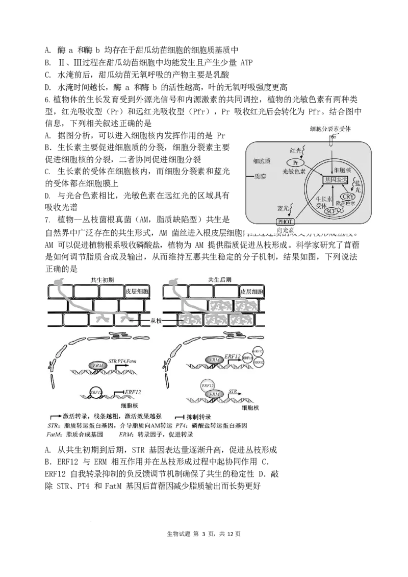 山东省实验中学2024届高三2月调研考试（生物）_2024年3月_013月合集_2024届山东省实验中学高三下学期2月调研考试_山东省实验中学2024届高三下学期2月调研考试生物