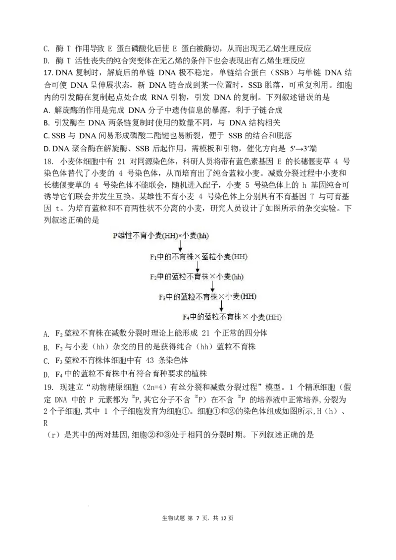 山东省实验中学2024届高三2月调研考试（生物）_2024年3月_013月合集_2024届山东省实验中学高三下学期2月调研考试_山东省实验中学2024届高三下学期2月调研考试生物