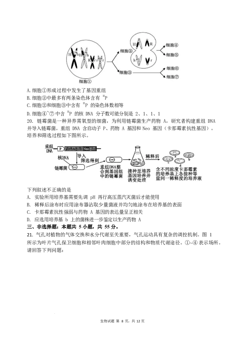山东省实验中学2024届高三2月调研考试（生物）_2024年3月_013月合集_2024届山东省实验中学高三下学期2月调研考试_山东省实验中学2024届高三下学期2月调研考试生物
