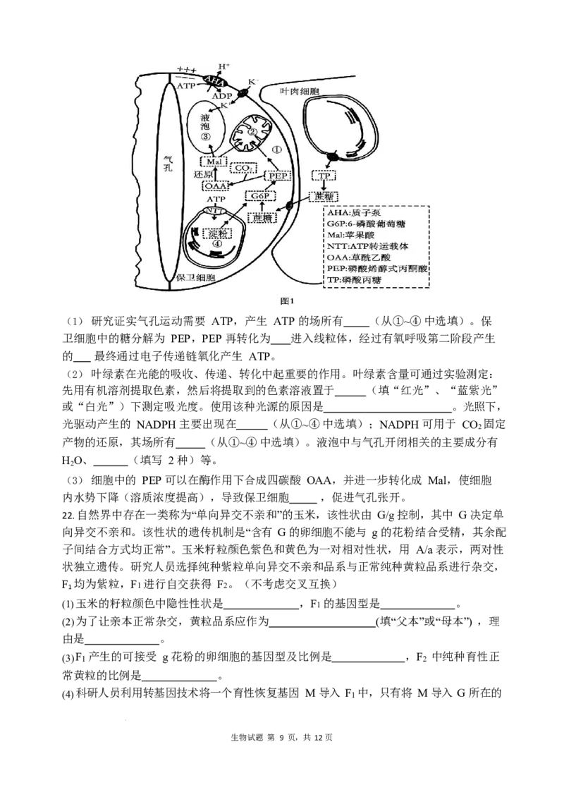 山东省实验中学2024届高三2月调研考试（生物）_2024年3月_013月合集_2024届山东省实验中学高三下学期2月调研考试_山东省实验中学2024届高三下学期2月调研考试生物