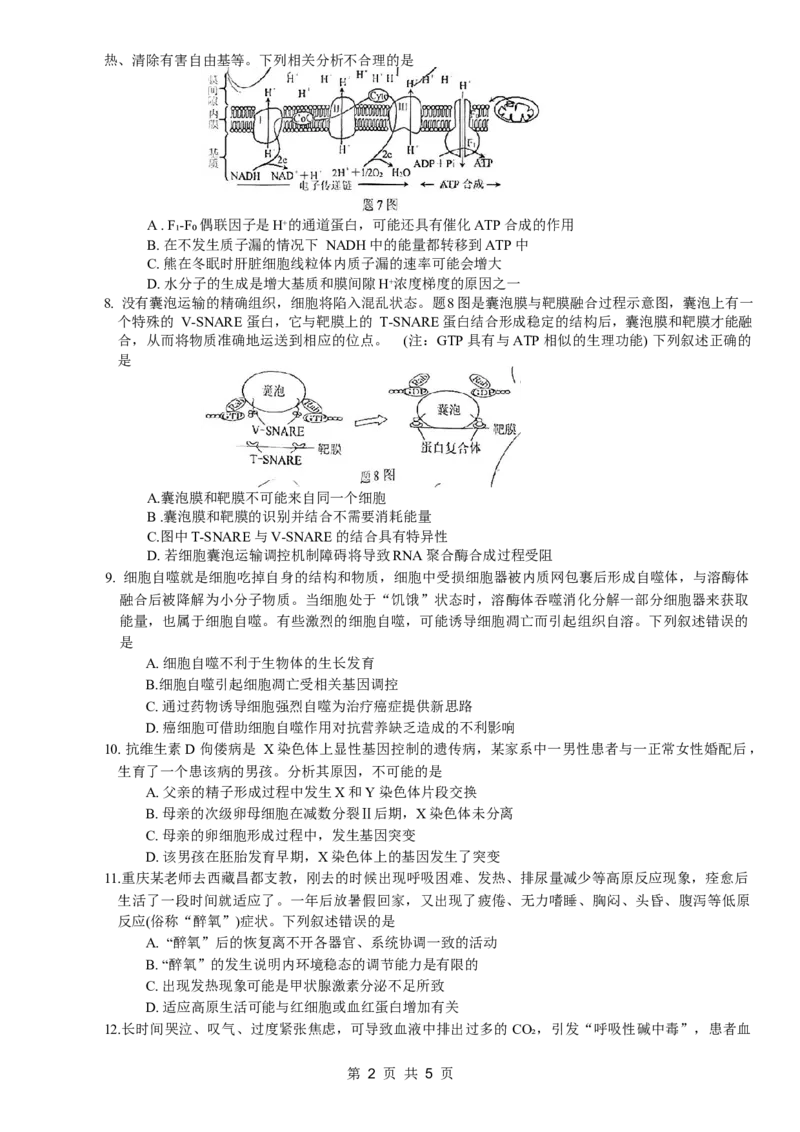 康德2024年重庆市普通高中学业水平选择性考试高考模拟调研卷（二）生物试题_2024年2月_01每日更新_26号_2024届重庆康德2024年普通高等学校招生全国统一考试高考模拟调研卷（二）