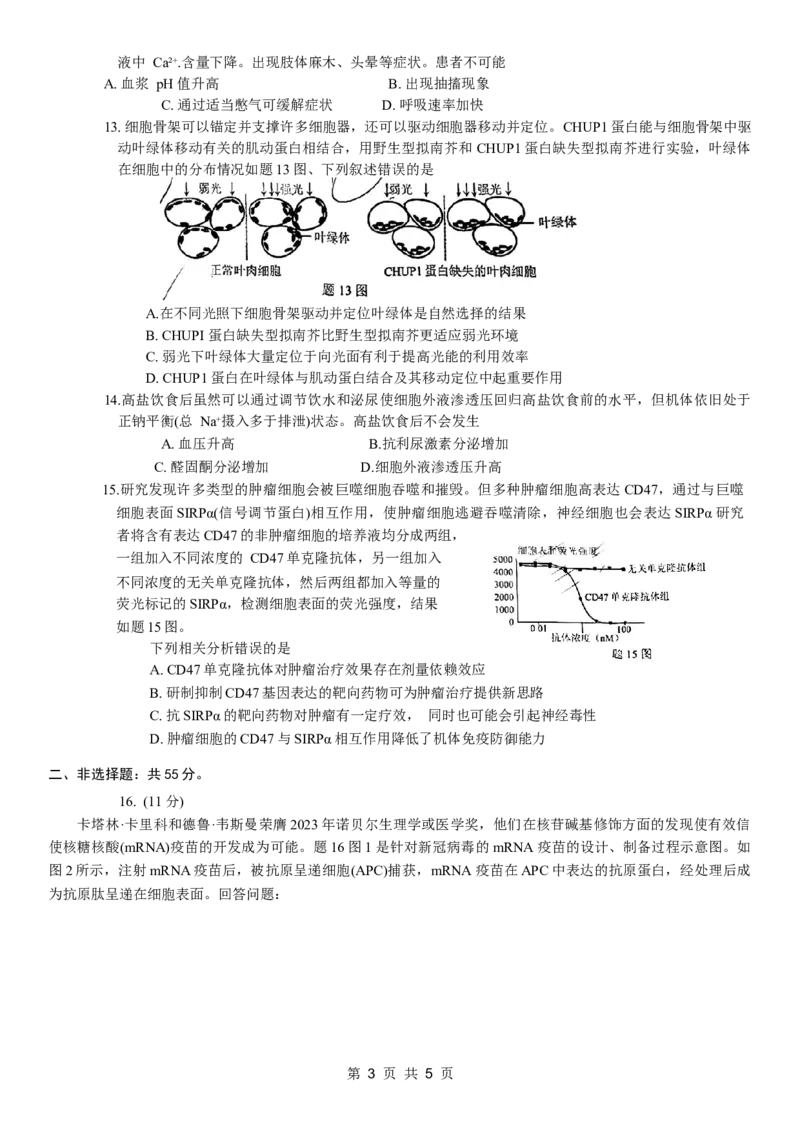 康德2024年重庆市普通高中学业水平选择性考试高考模拟调研卷（二）生物试题_2024年2月_01每日更新_26号_2024届重庆康德2024年普通高等学校招生全国统一考试高考模拟调研卷（二）