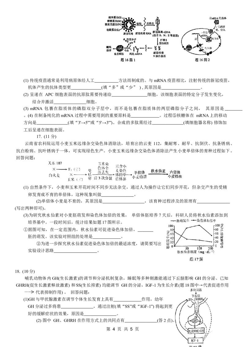 康德2024年重庆市普通高中学业水平选择性考试高考模拟调研卷（二）生物试题_2024年2月_01每日更新_26号_2024届重庆康德2024年普通高等学校招生全国统一考试高考模拟调研卷（二）