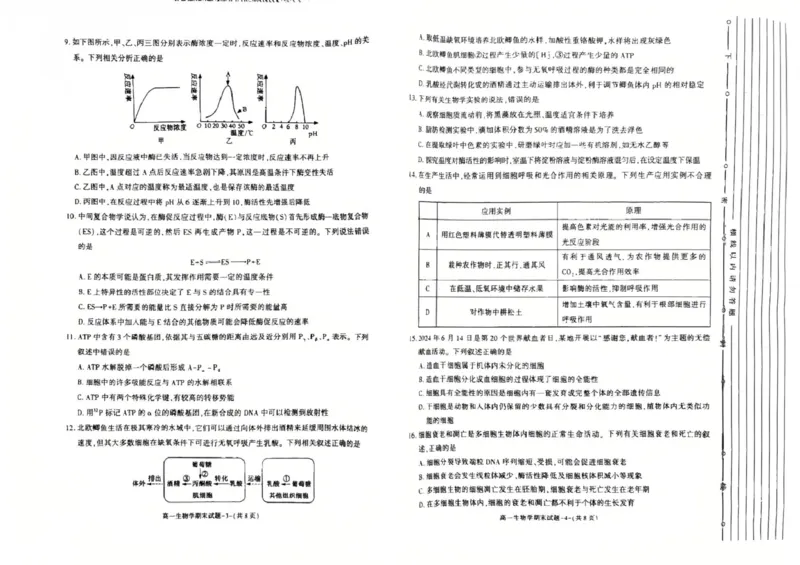 陕西省西安市新城区2024-2025学年高一上学期1月期末考试生物PDF版含答案_2024-2025高一（7-7月题库）_2025年03月试卷_0305陕西省西安市新城区2024-2025学年高一上学期1月期末考试