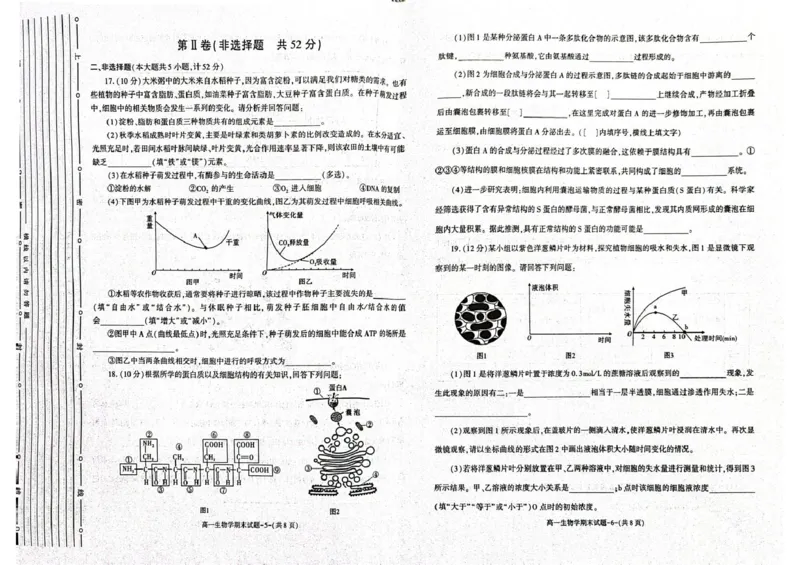 陕西省西安市新城区2024-2025学年高一上学期1月期末考试生物PDF版含答案_2024-2025高一（7-7月题库）_2025年03月试卷_0305陕西省西安市新城区2024-2025学年高一上学期1月期末考试