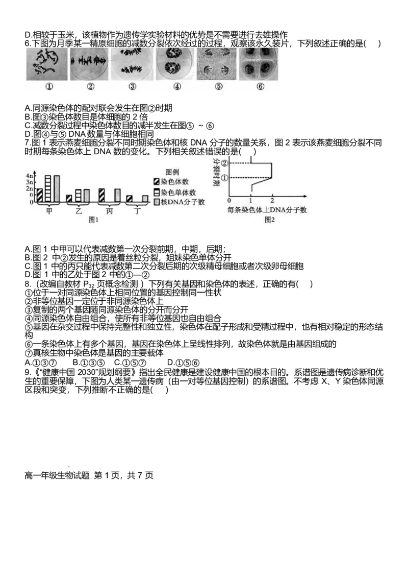河南省南阳市十校联盟体2024-2025学年高一下学期期中模拟联考试题生物Word版含解析_2024-2025高一（7-7月题库）_2025年04月试卷