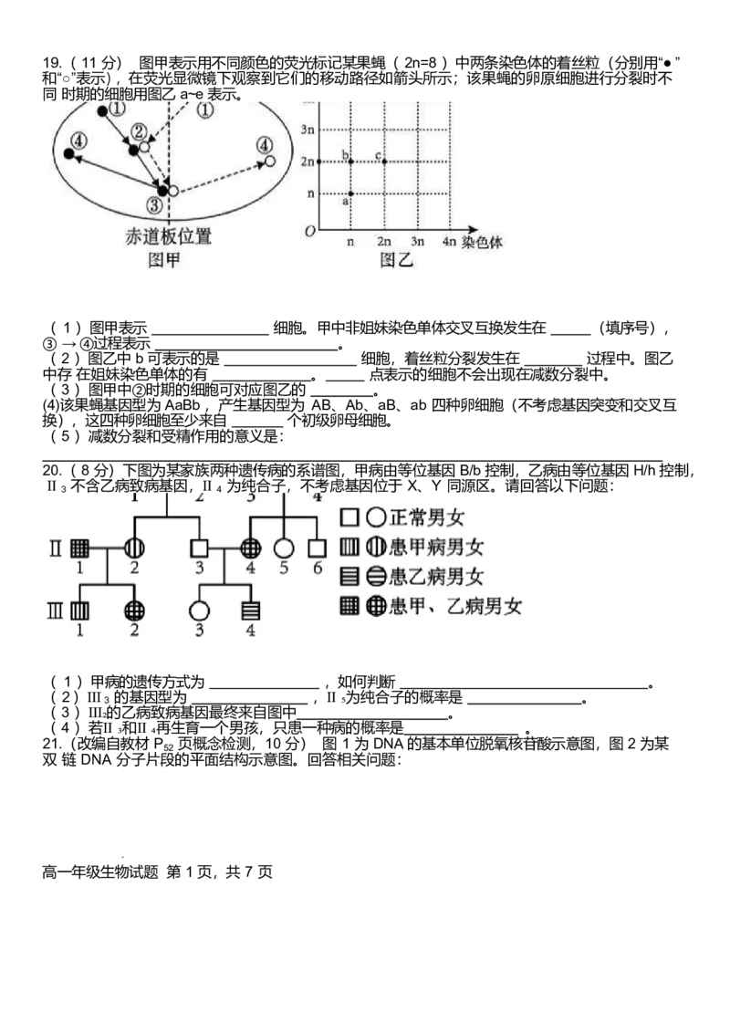 河南省南阳市十校联盟体2024-2025学年高一下学期期中模拟联考试题生物Word版含解析_2024-2025高一（7-7月题库）_2025年04月试卷