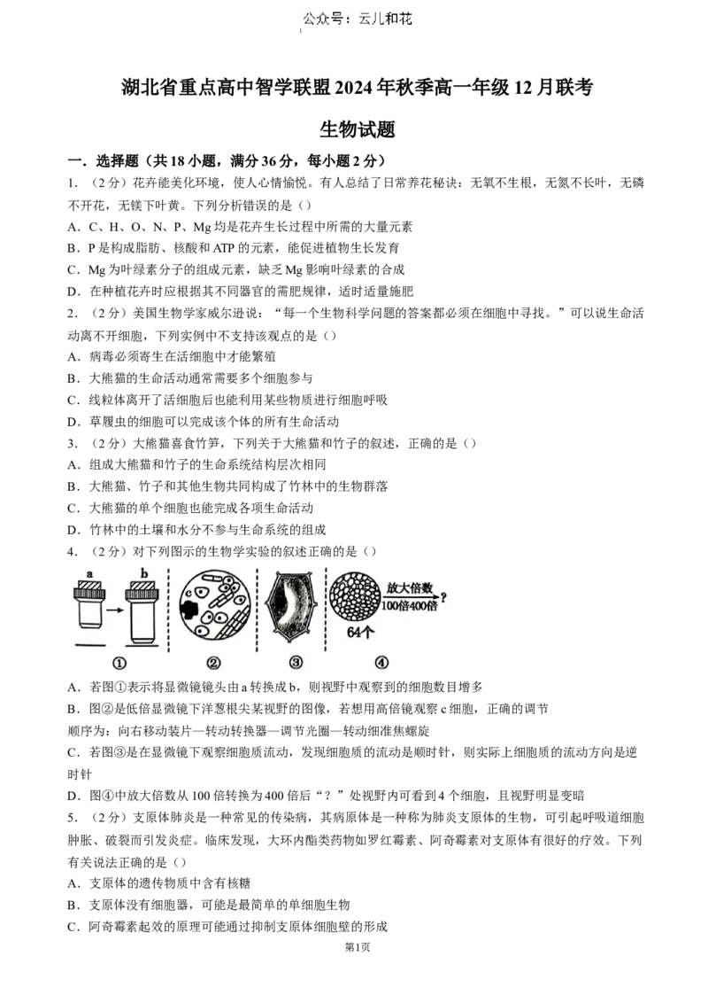 湖北省重点高中智学联盟2024-2025学年高一上学期12月月考生物试题（含答案）_2024-2025高一（7-7月题库）_2024年12月试卷_1230湖北省重点高中智学联盟2024-2025学年高一上学期12月月考