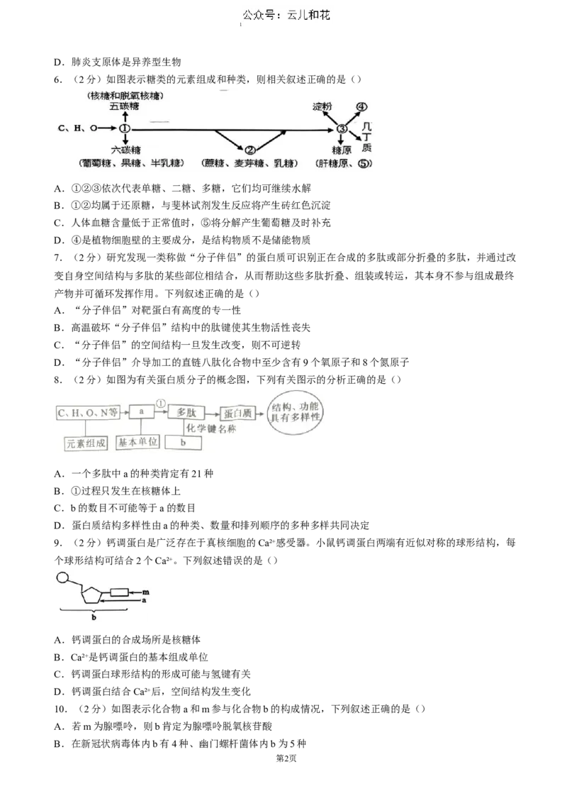 湖北省重点高中智学联盟2024-2025学年高一上学期12月月考生物试题（含答案）_2024-2025高一（7-7月题库）_2024年12月试卷_1230湖北省重点高中智学联盟2024-2025学年高一上学期12月月考