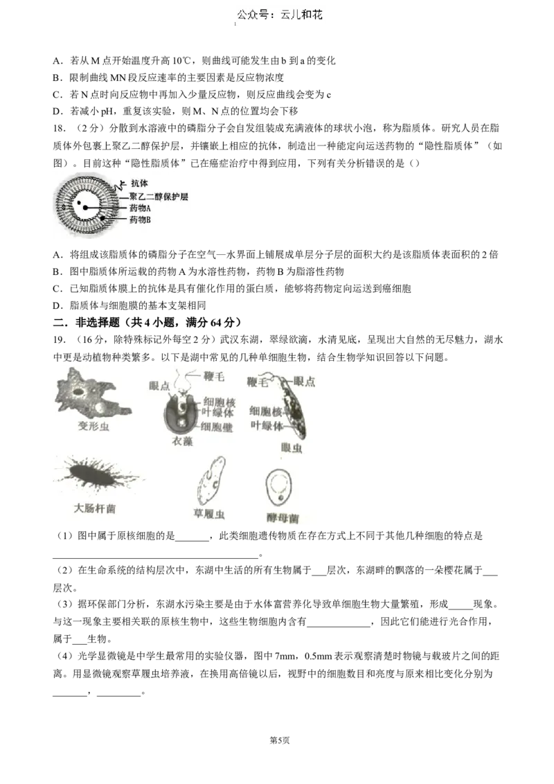 湖北省重点高中智学联盟2024-2025学年高一上学期12月月考生物试题（含答案）_2024-2025高一（7-7月题库）_2024年12月试卷_1230湖北省重点高中智学联盟2024-2025学年高一上学期12月月考