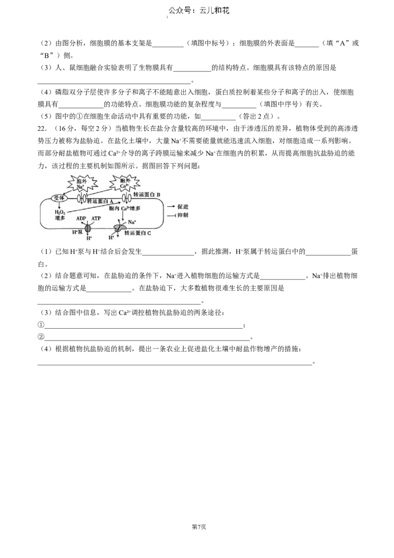 湖北省重点高中智学联盟2024-2025学年高一上学期12月月考生物试题（含答案）_2024-2025高一（7-7月题库）_2024年12月试卷_1230湖北省重点高中智学联盟2024-2025学年高一上学期12月月考