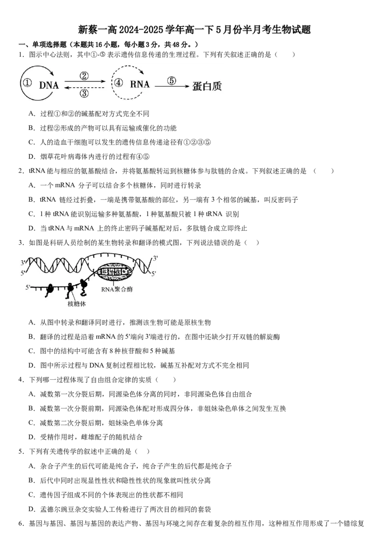 河南省驻马店市新蔡县第一高级中学2024-2025学年高一下学期5月半月考生物试卷（有答案）_2024-2025高一（7-7月题库）_2025年05月试卷
