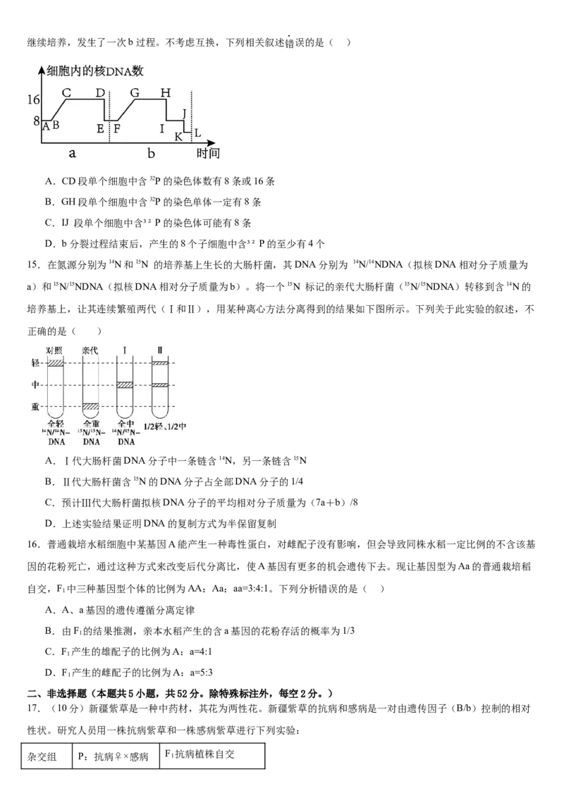 河南省驻马店市新蔡县第一高级中学2024-2025学年高一下学期5月半月考生物试卷（有答案）_2024-2025高一（7-7月题库）_2025年05月试卷