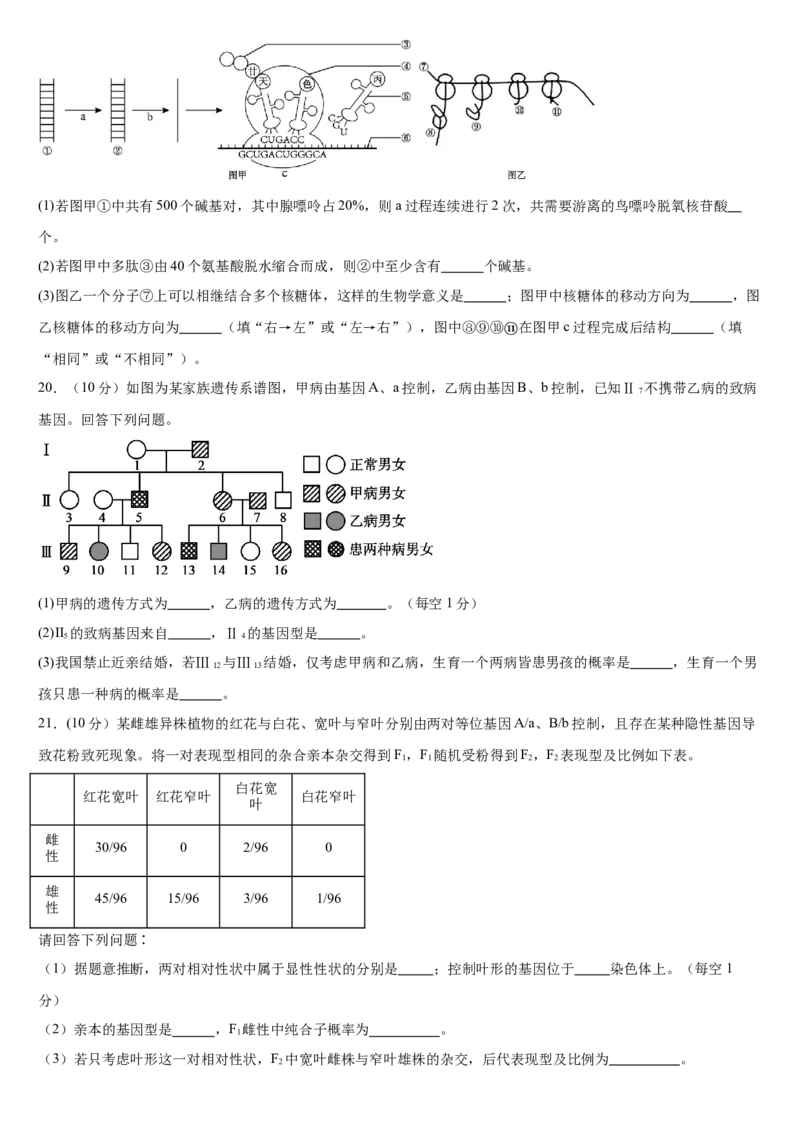 河南省驻马店市新蔡县第一高级中学2024-2025学年高一下学期5月半月考生物试卷（有答案）_2024-2025高一（7-7月题库）_2025年05月试卷
