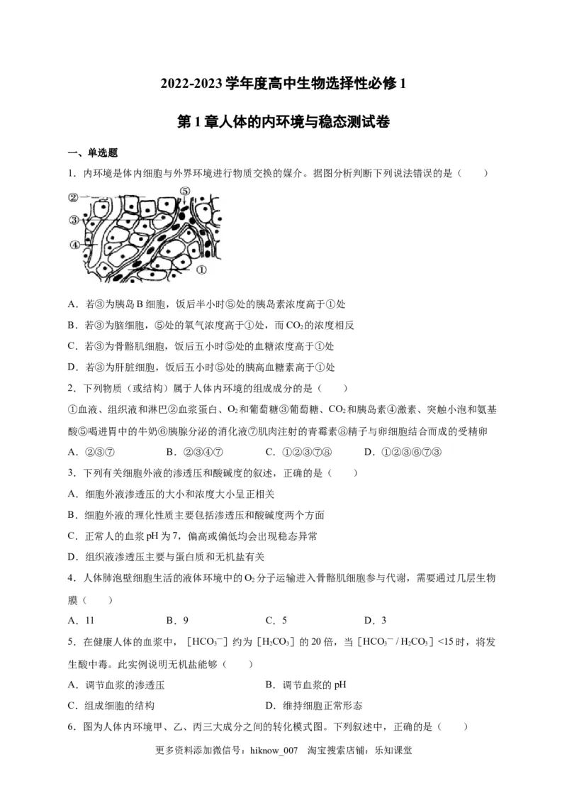 第1章人体的内环境与稳态单元测试卷2022-2023学年人教版（2019）高中生物选择性必修1_E015高中全科试卷_生物试题_选修1_1.单元测试_2.单元测试（第二套）_第一章