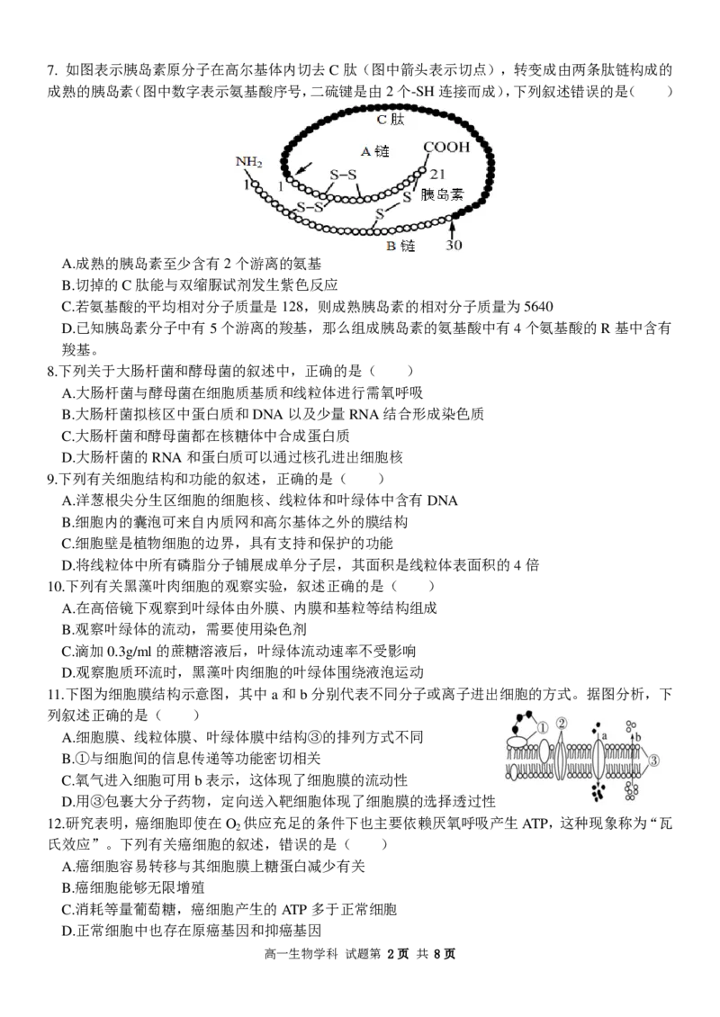 生物试卷_2024-2025高一（7-7月题库）_2024年12月试卷_1223浙江省金华市卓越联盟高一12月阶段性联考全科试卷及答案