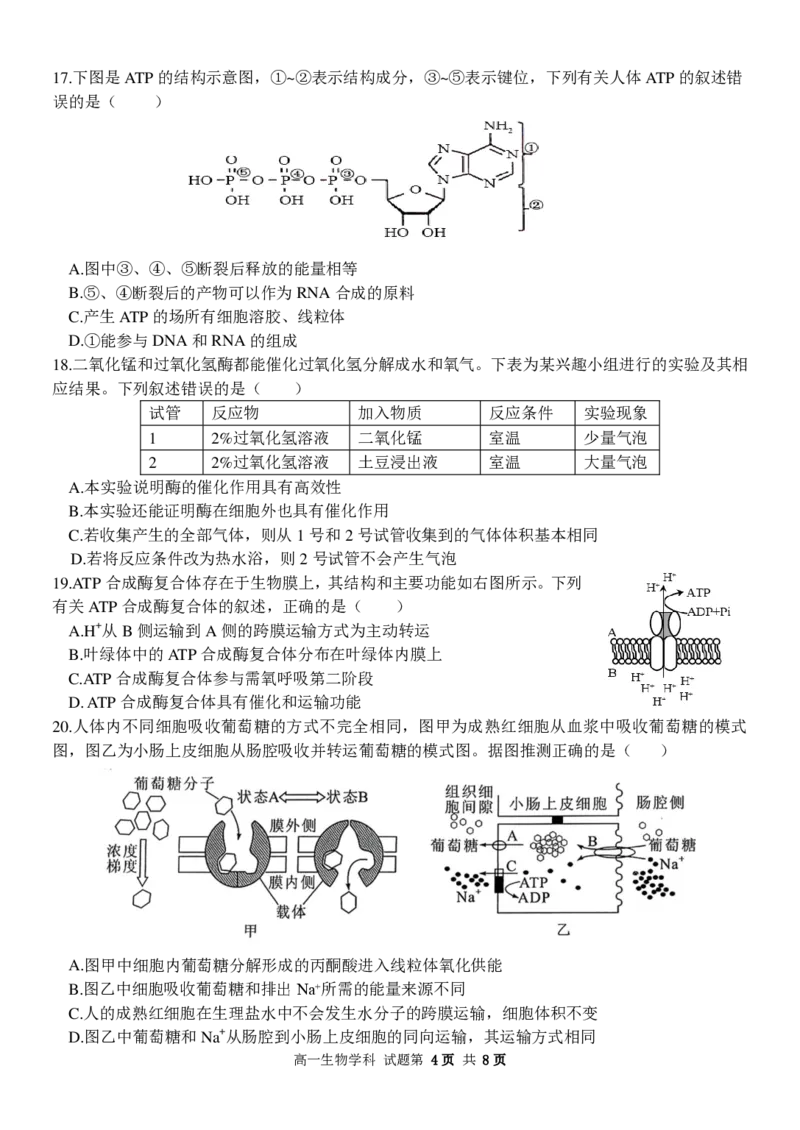 生物试卷_2024-2025高一（7-7月题库）_2024年12月试卷_1223浙江省金华市卓越联盟高一12月阶段性联考全科试卷及答案