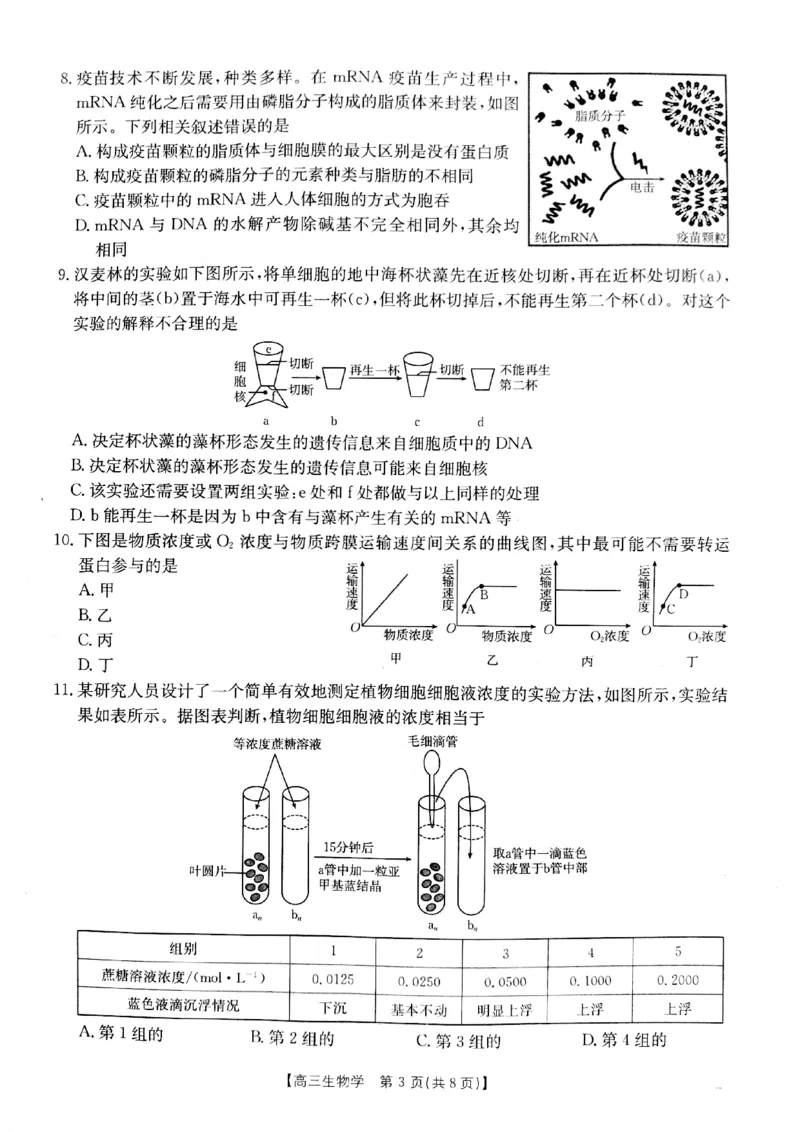 2025届山西省长治市高三9月质量检测-生物试卷+答案_2024-2025高三（6-6月题库）_2024年09月试卷_09232025届山西省长治市高三9月质量检测
