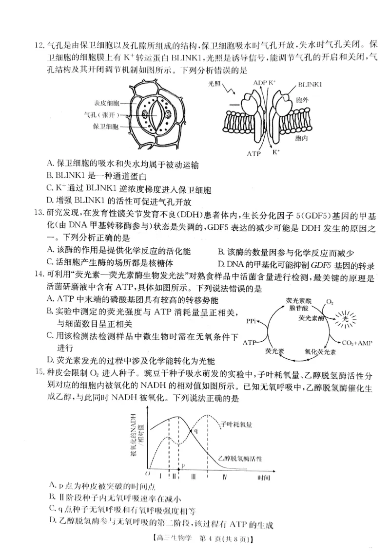 2025届山西省长治市高三9月质量检测-生物试卷+答案_2024-2025高三（6-6月题库）_2024年09月试卷_09232025届山西省长治市高三9月质量检测