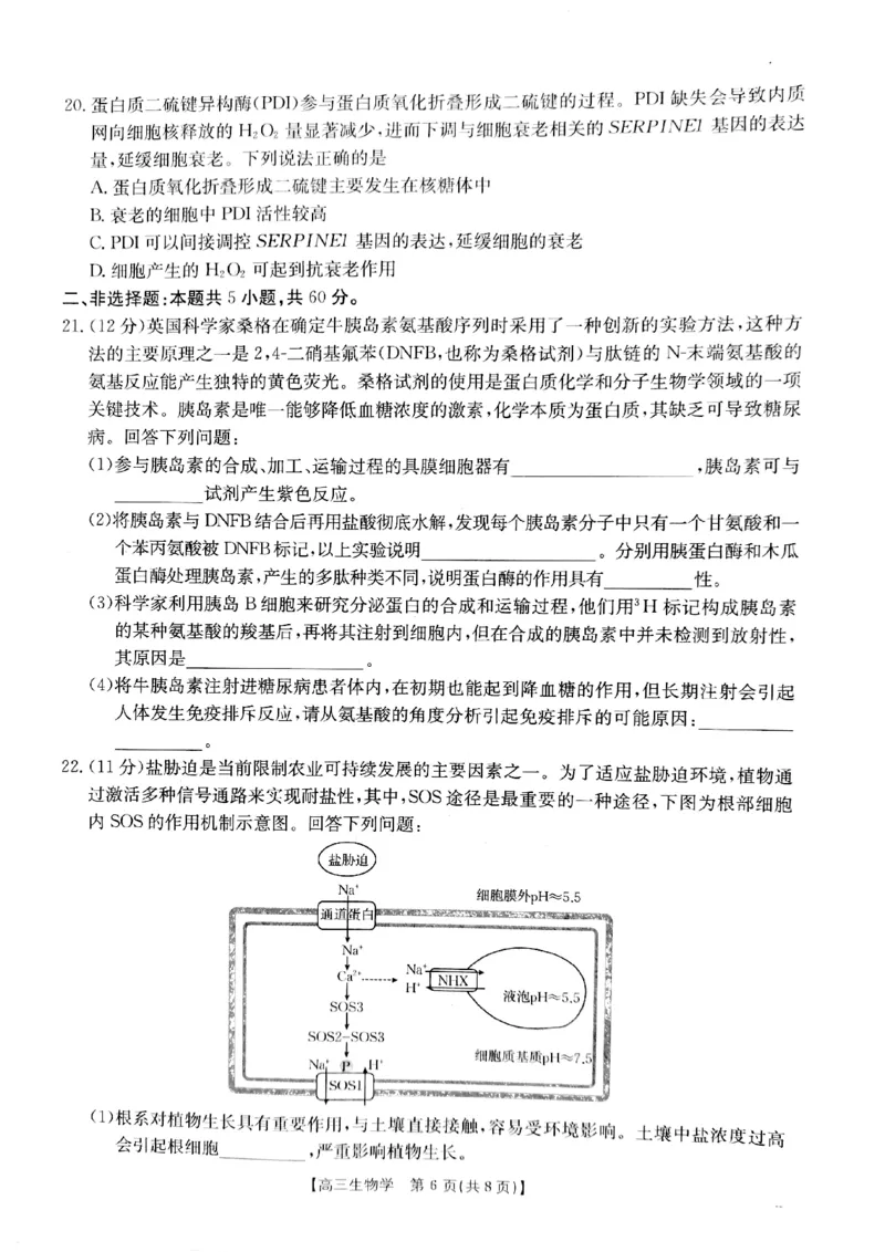 2025届山西省长治市高三9月质量检测-生物试卷+答案_2024-2025高三（6-6月题库）_2024年09月试卷_09232025届山西省长治市高三9月质量检测