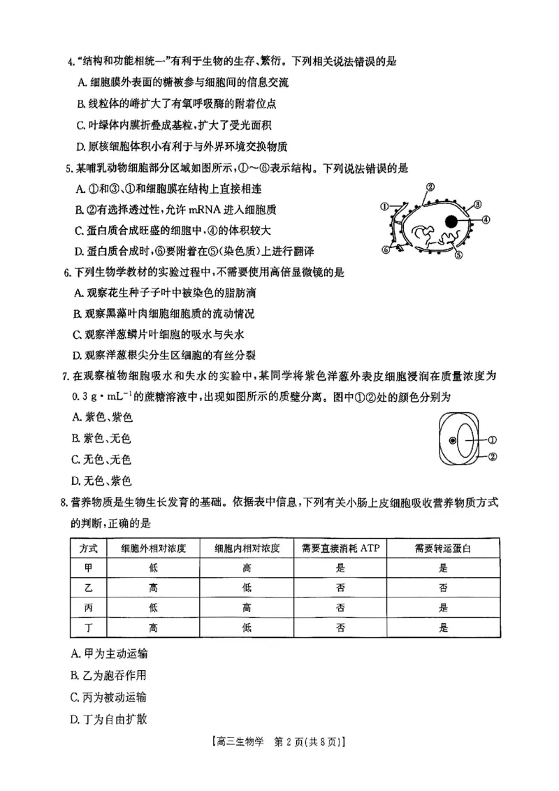 2025届陕西省高三金太阳9月联考（25-37C）生物+答案_2024-2025高三（6-6月题库）_2024年09月试卷_09252025届陕西省高三金太阳9月联考（25-37C）