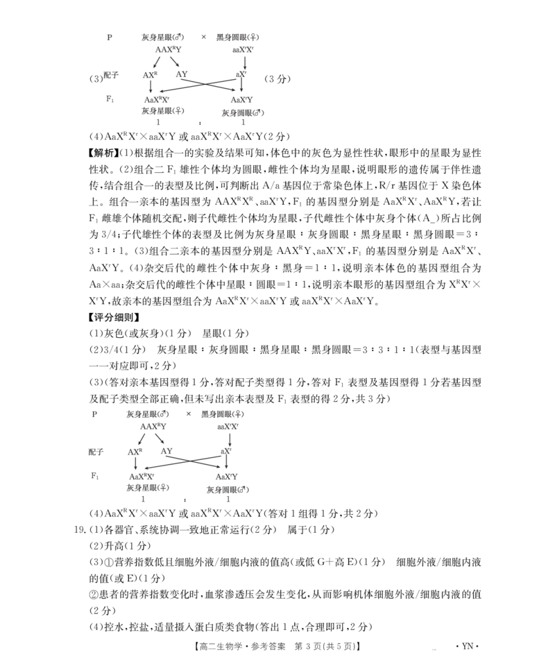 云南省2027届高二上学期12月联考（26-002B）生物答案_2024-2025高二（7-7月题库）_2026年1月高二_260106金太阳&middot;云南省2027届高二上学期12月联考（26-002B）（全）