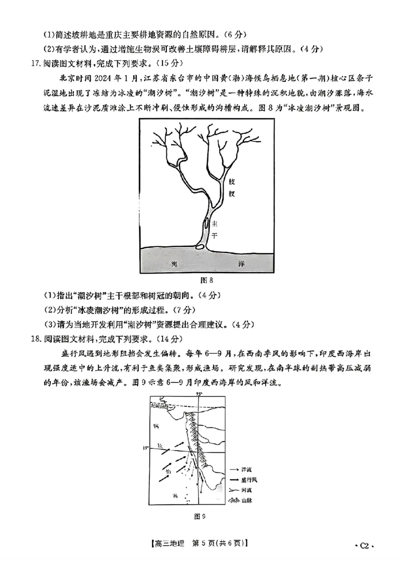 2025届山东省金太阳高三10月监测（角标C2）-地理试题+答案_2024-2025高三（6-6月题库）_2024年10月试卷_10132025届山东省金太阳高三10月监测（角标C2）