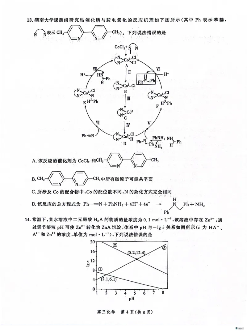河北省大数据应用调研联合测评2024届高三下学期2月月考化学(1)_2024年2月_022月合集_2024届河北省大数据应用调研联合测评高三下学期2月月考
