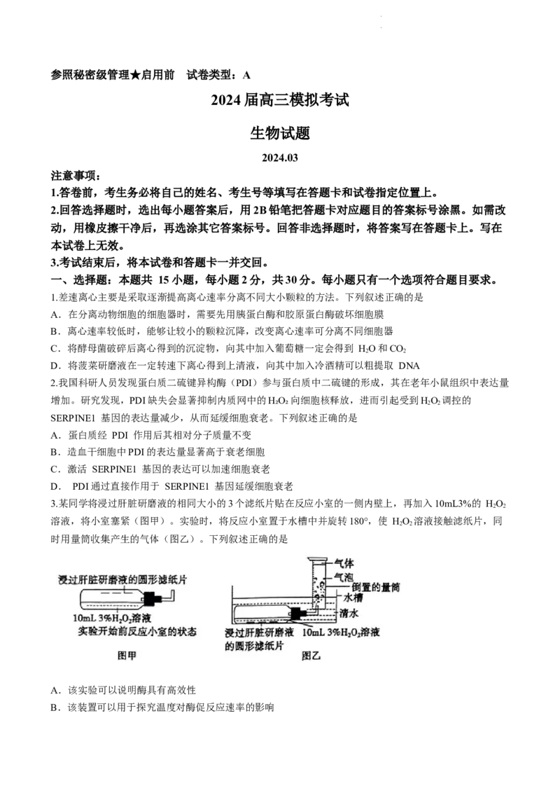 枣庄市2024届3月份高三模拟考试生物试题(二调)_2024年3月_013月合集_2024届山东省枣庄市高三下学期3月模拟考试（枣庄二模）_山东省枣庄市2024届高三下学期3月模拟考试（枣庄二模）生物