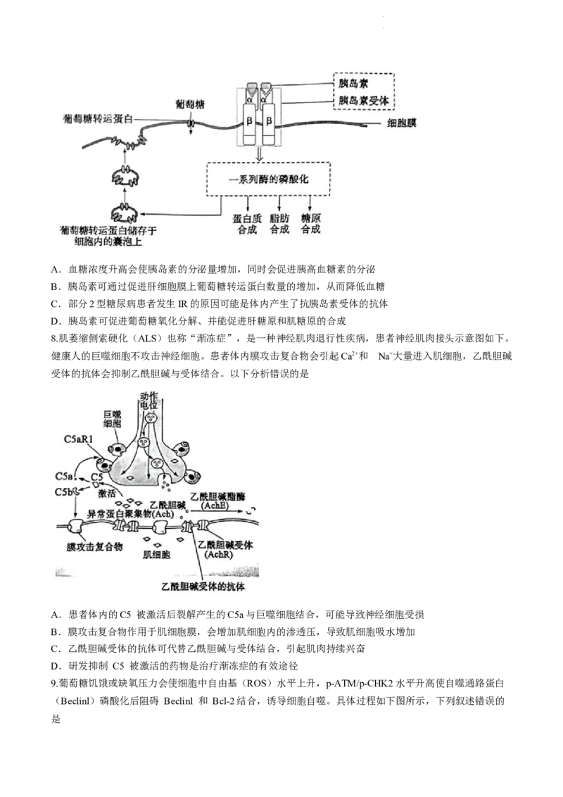 枣庄市2024届3月份高三模拟考试生物试题(二调)_2024年3月_013月合集_2024届山东省枣庄市高三下学期3月模拟考试（枣庄二模）_山东省枣庄市2024届高三下学期3月模拟考试（枣庄二模）生物