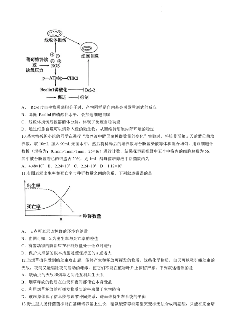 枣庄市2024届3月份高三模拟考试生物试题(二调)_2024年3月_013月合集_2024届山东省枣庄市高三下学期3月模拟考试（枣庄二模）_山东省枣庄市2024届高三下学期3月模拟考试（枣庄二模）生物