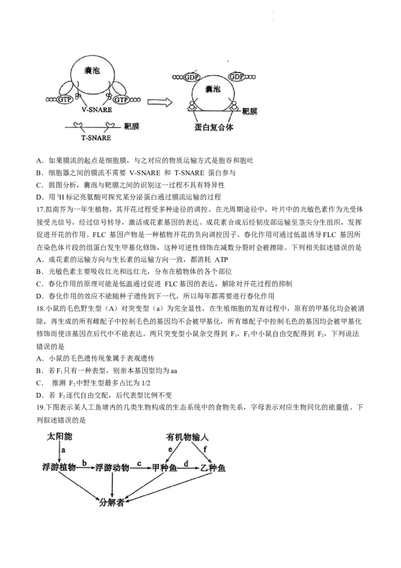 枣庄市2024届3月份高三模拟考试生物试题(二调)_2024年3月_013月合集_2024届山东省枣庄市高三下学期3月模拟考试（枣庄二模）_山东省枣庄市2024届高三下学期3月模拟考试（枣庄二模）生物