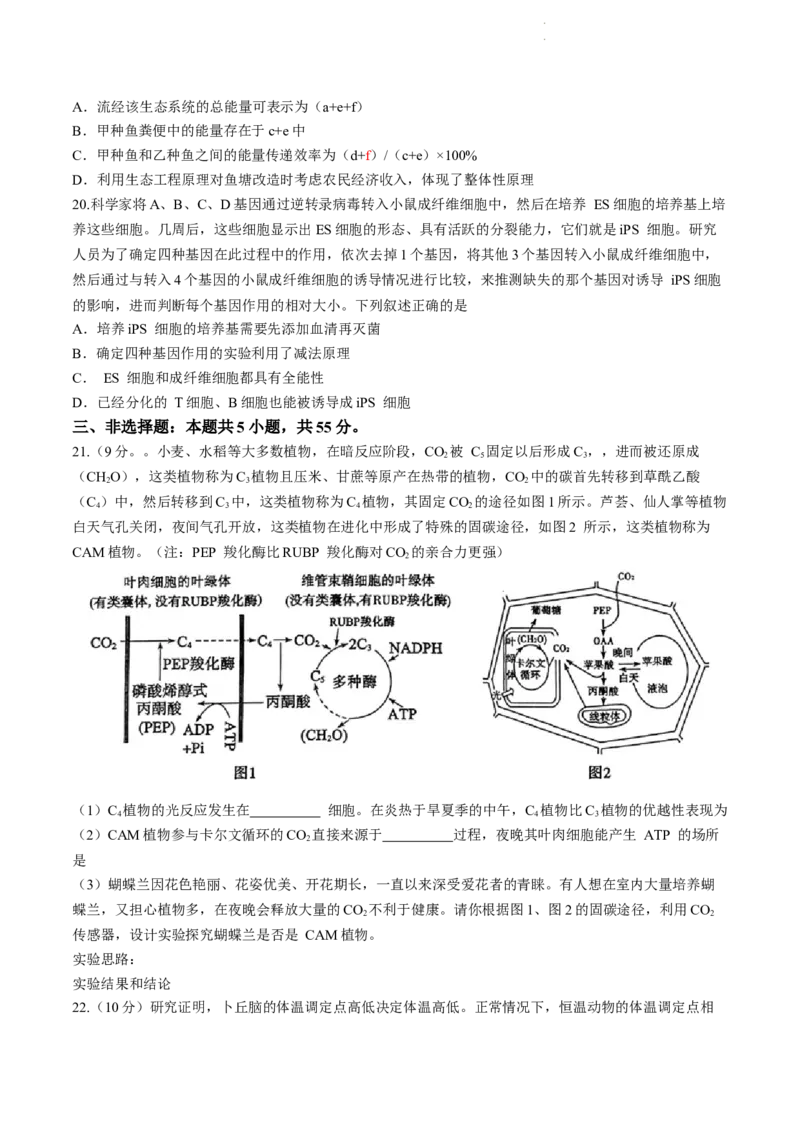 枣庄市2024届3月份高三模拟考试生物试题(二调)_2024年3月_013月合集_2024届山东省枣庄市高三下学期3月模拟考试（枣庄二模）_山东省枣庄市2024届高三下学期3月模拟考试（枣庄二模）生物