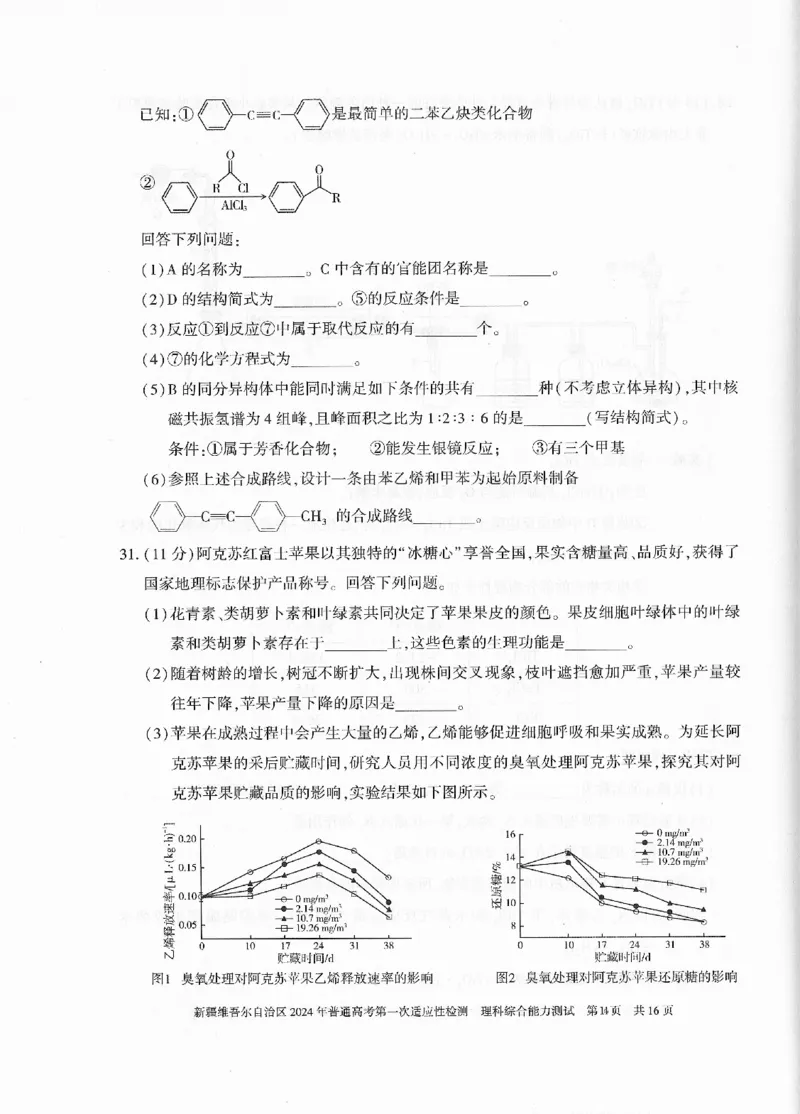 新疆维吾尔自治区2024年一模理综_2024年3月_013月合集_2024届新疆维吾尔自治区高三下学期第一次适应性_2024届新疆维吾尔自治区高三下学期第一次适应性理综