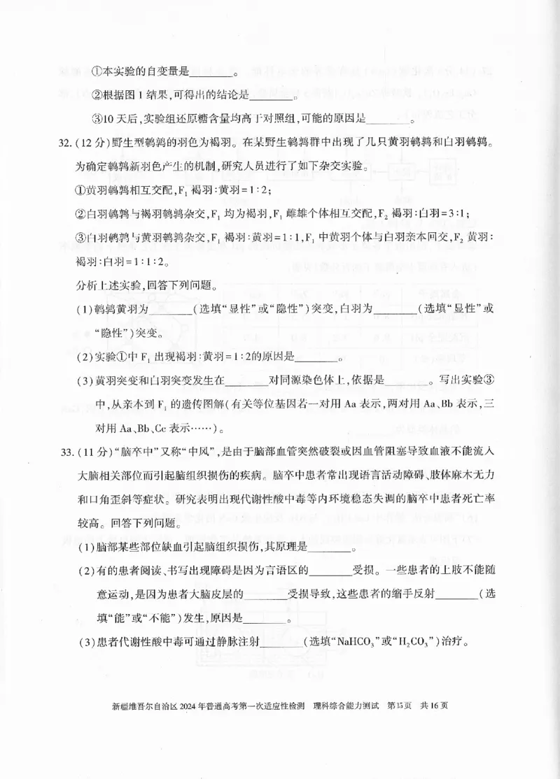 新疆维吾尔自治区2024年一模理综_2024年3月_013月合集_2024届新疆维吾尔自治区高三下学期第一次适应性_2024届新疆维吾尔自治区高三下学期第一次适应性理综