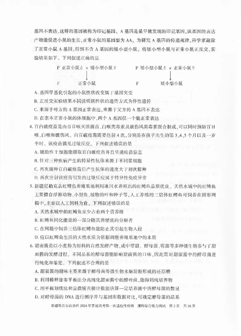 新疆维吾尔自治区2024年一模理综_2024年3月_013月合集_2024届新疆维吾尔自治区高三下学期第一次适应性_2024届新疆维吾尔自治区高三下学期第一次适应性理综