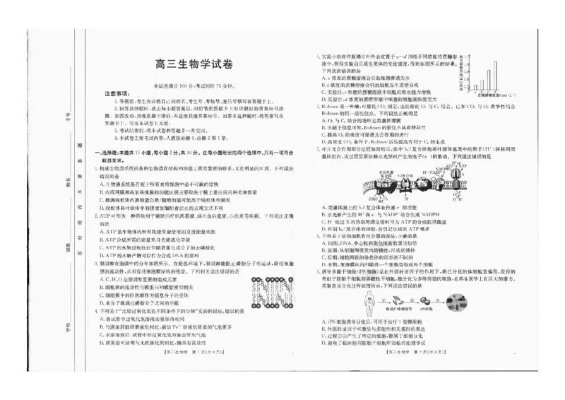 2025届金太阳百万联考（吉林内蒙古）高三9月生物_2024-2025高三（6-6月题库）_2024年09月试卷_09282025届金太阳百万联考（吉林内蒙古）高三9月